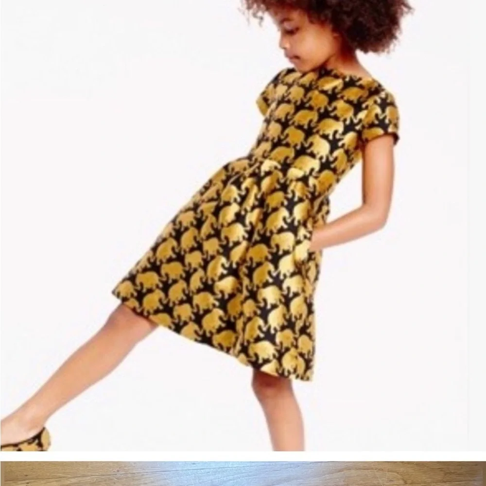 J. Crew Crewcuts elephant parade dress 5
